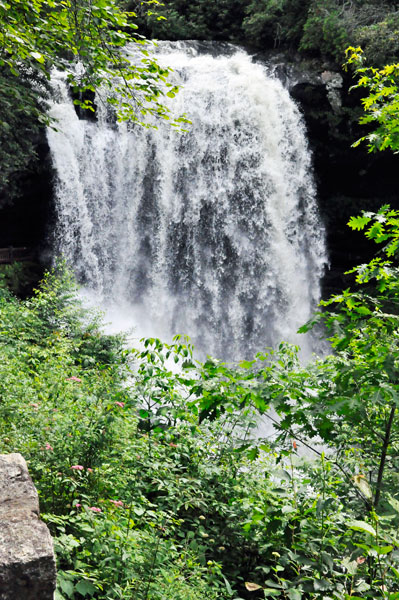 overlooking Dry Falls